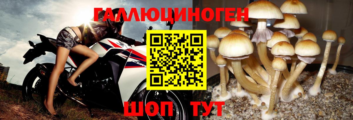 Галлюциногенные грибы GOLDEN TEACHER Славгород